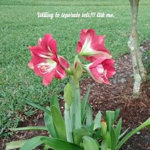 Ask   me how w to seperate!